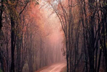 亚特兰大客场轻取乌迪内斯，表现出色