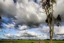 女选手在高级赛事中展现实力