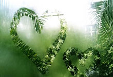 欧联杯：阿贾克斯队晋级下一轮