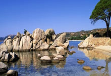 瑞典球员受伤退出比赛，考验球队深度