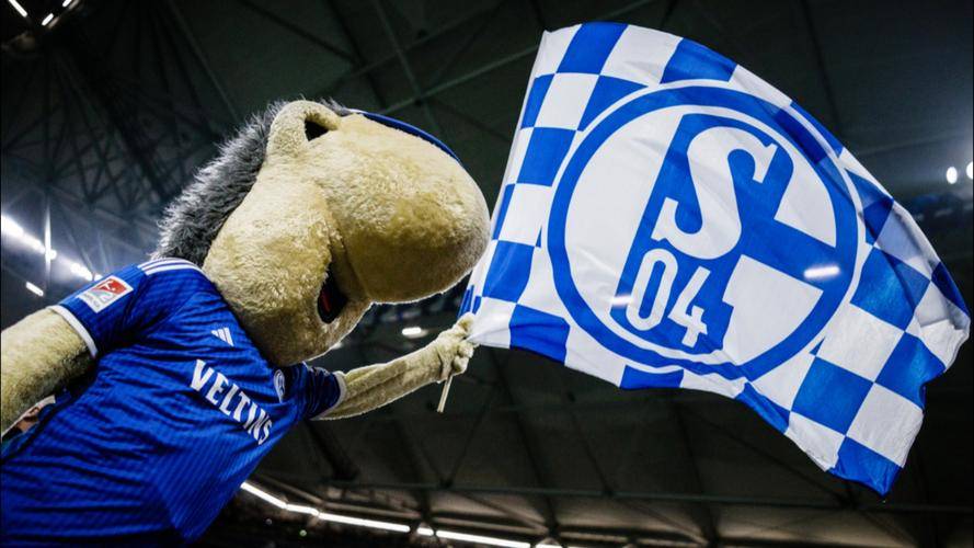 关于沙尔克主场告捷，重回升班马之位的信息