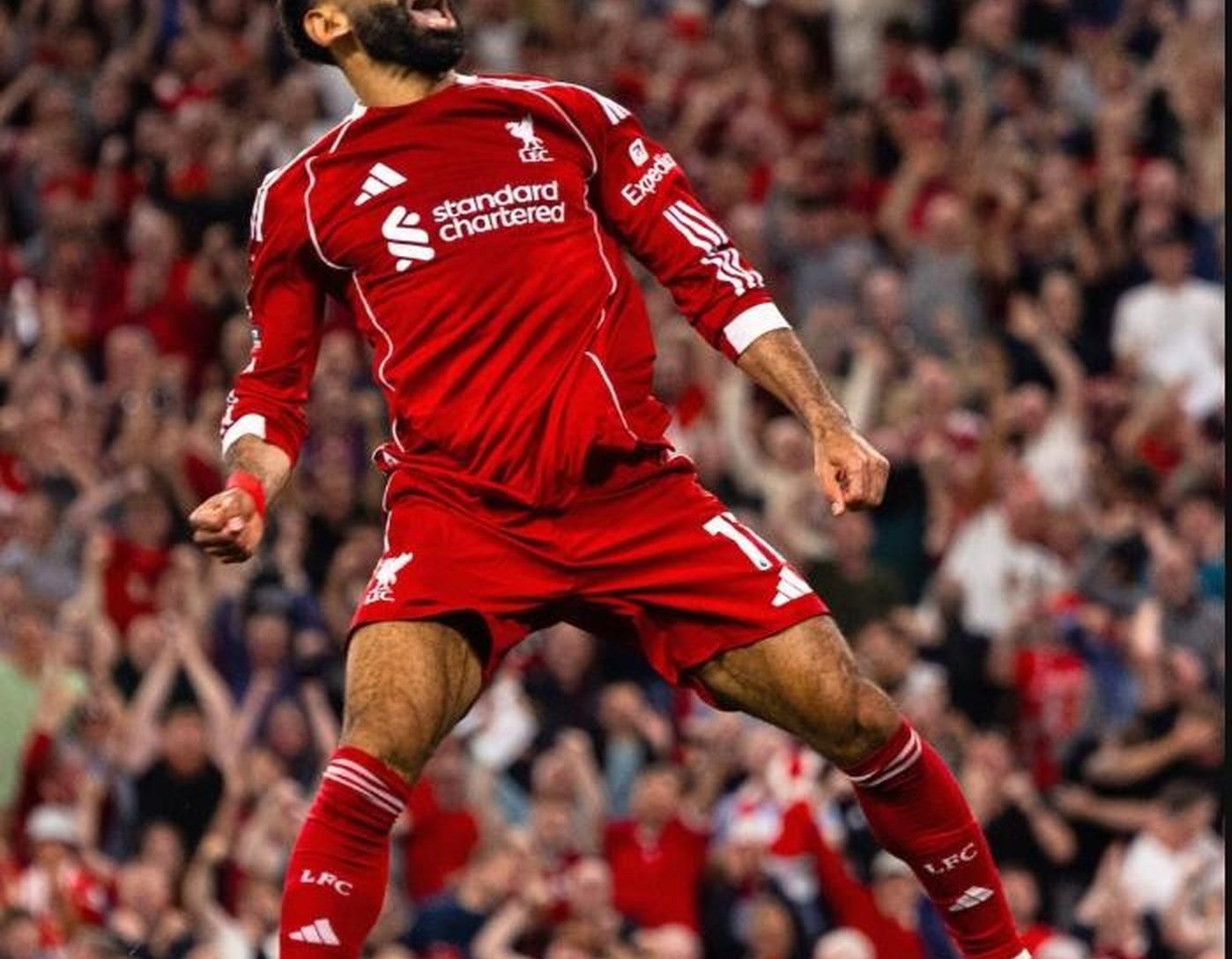 利物浦主场再胜，稳坐榜首宝座的简单介绍